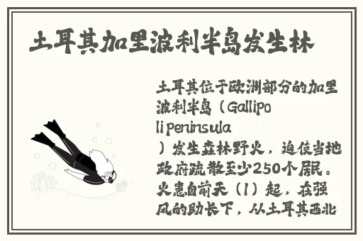 窝窝视频网看免费